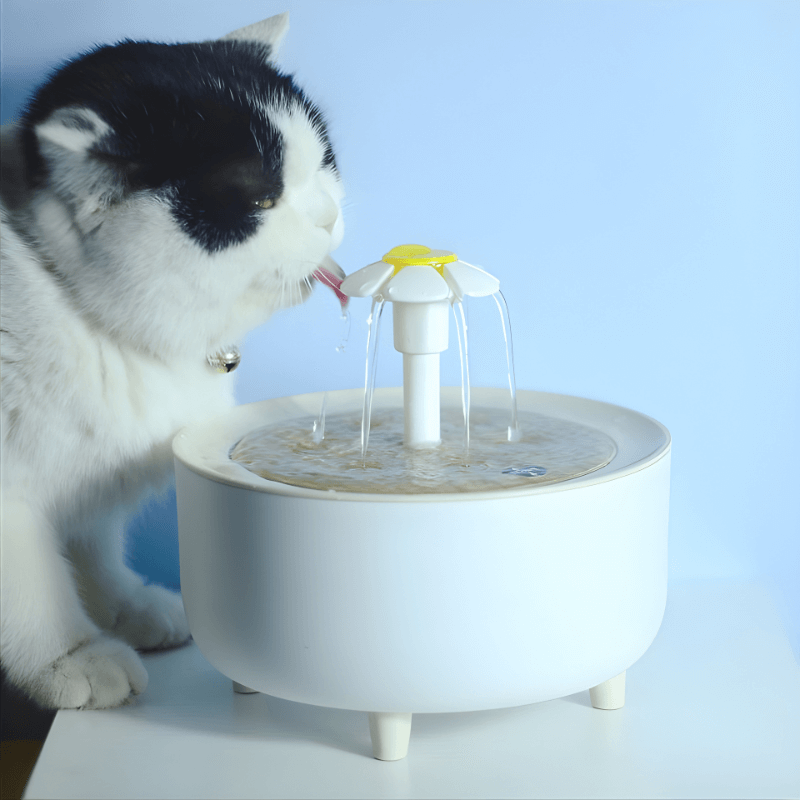 Cat drinking water from a pet fountain with a blue background
