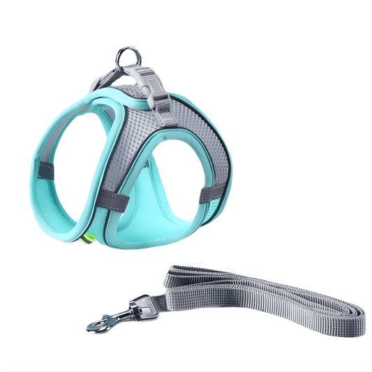 Pet harness and leash set with teal and gray design on a white background