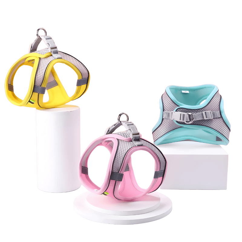 Three cat harnesses in yellow, pink, and blue on white stands with a white background