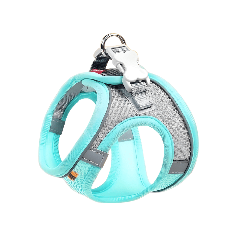 Pet harness with teal and gray design on a white background